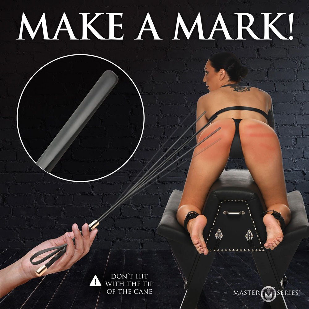 Master Series Sinful Impact Cane - Flexible & Durable Plastic