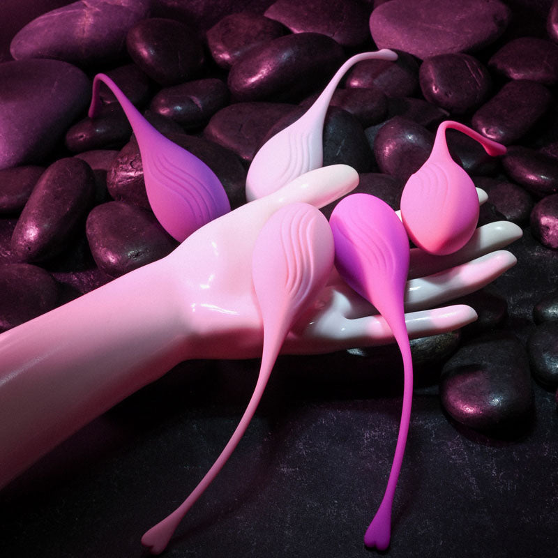 Evolved Tight & Delight | 5 Piece Kegel Training Set | Waterproof | Retrieval Cord