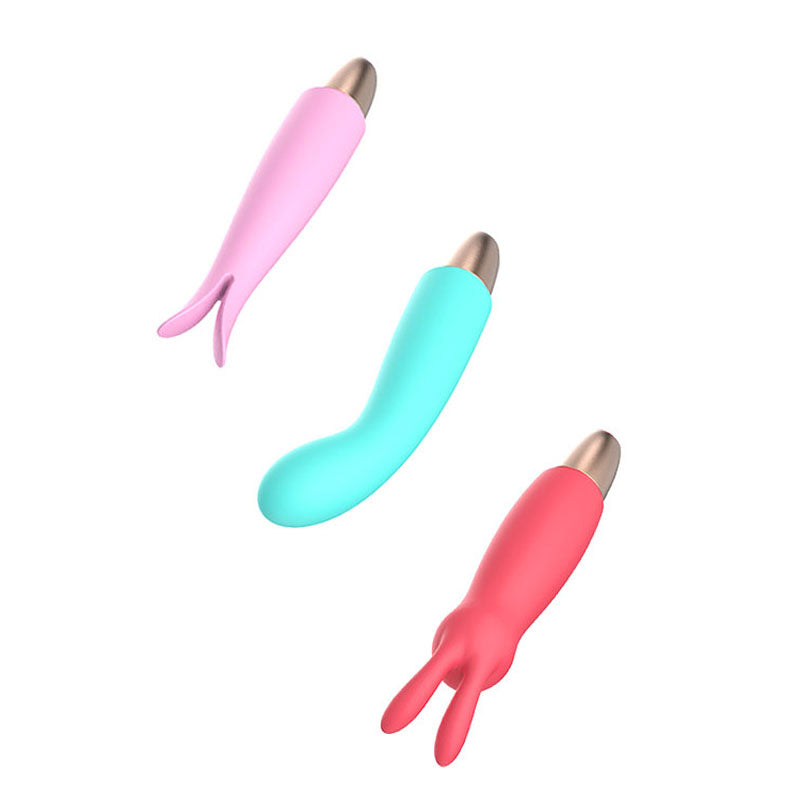 Adam & Eve Playful Seduction Kit – 4-Piece Customisable Vibrator Set