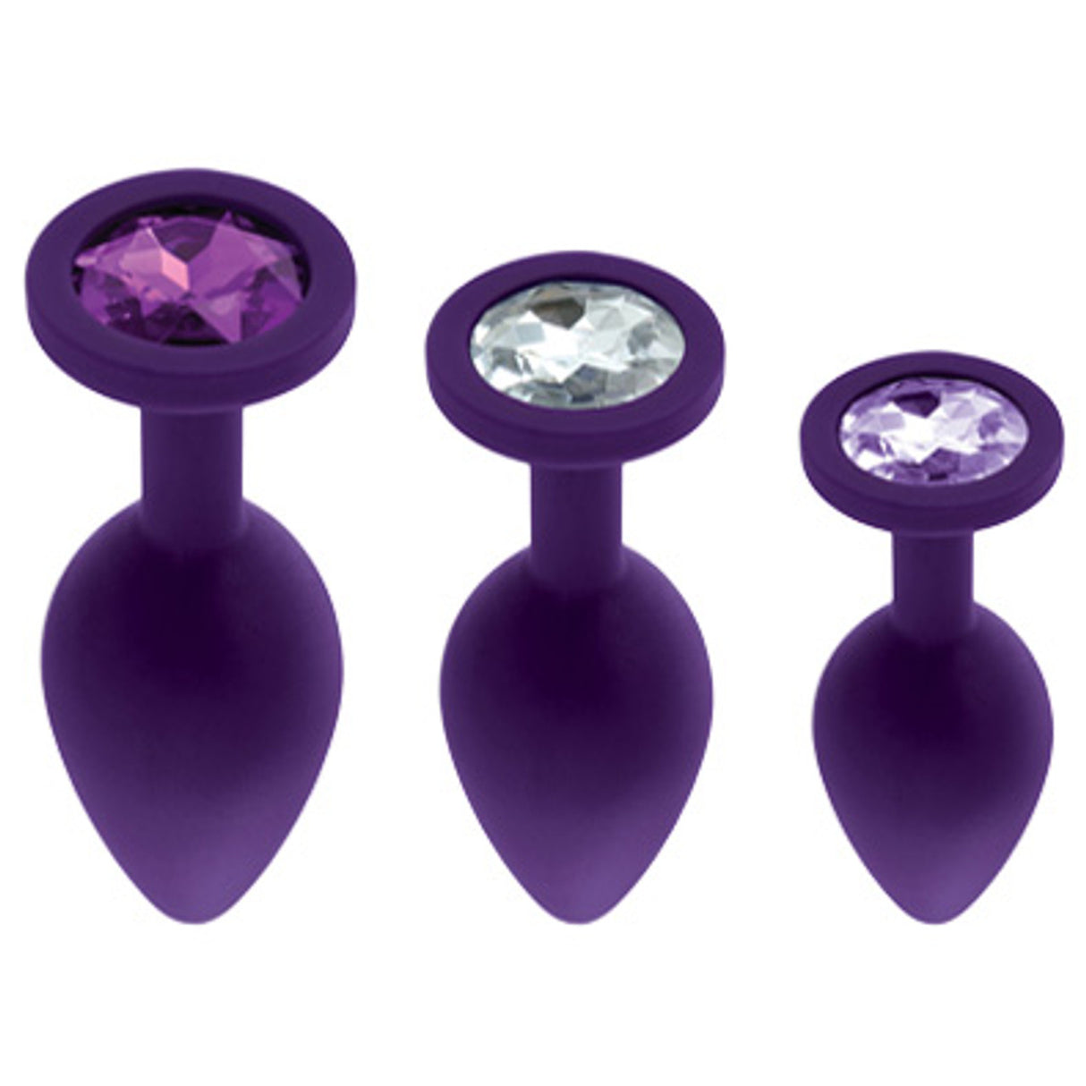 Booty Plug Purple - Glamorous Training Kit with Three Sizes