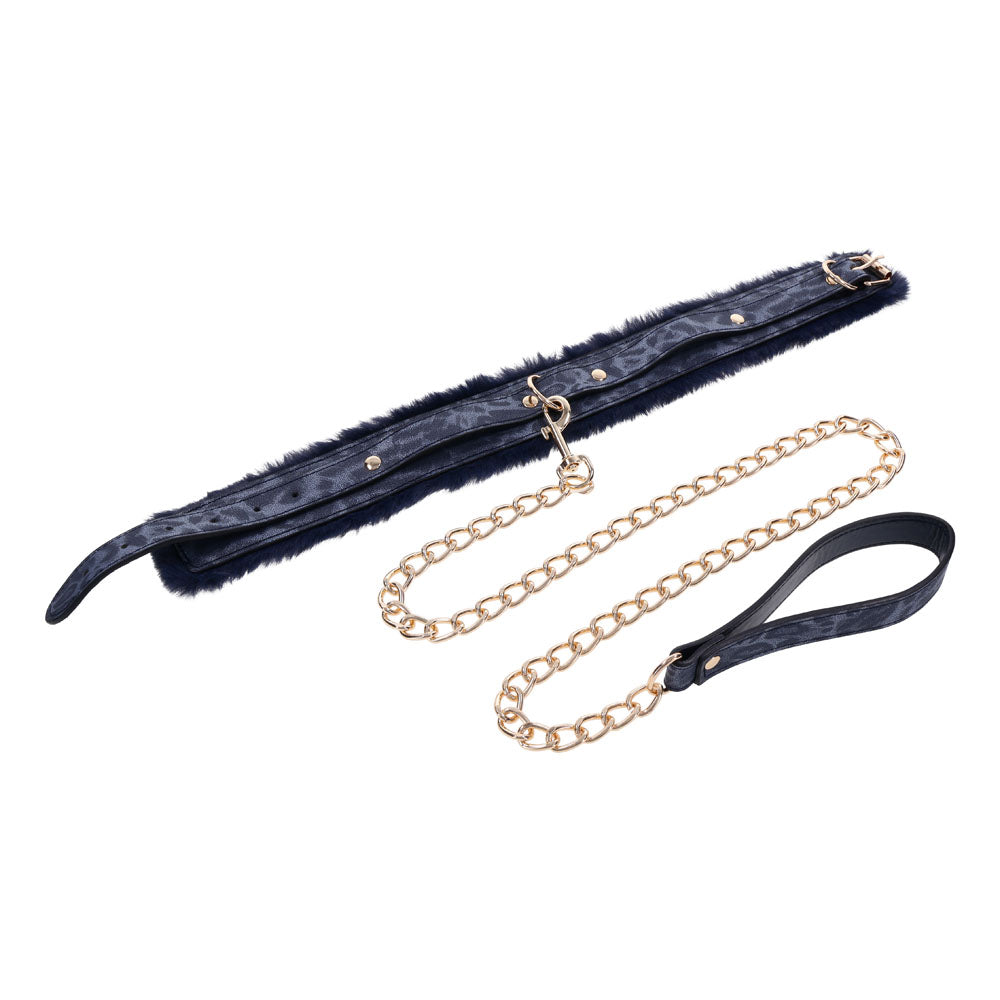 Sex & Mischief Cougar Fur Collar & Leash - Navy Blue & Gold