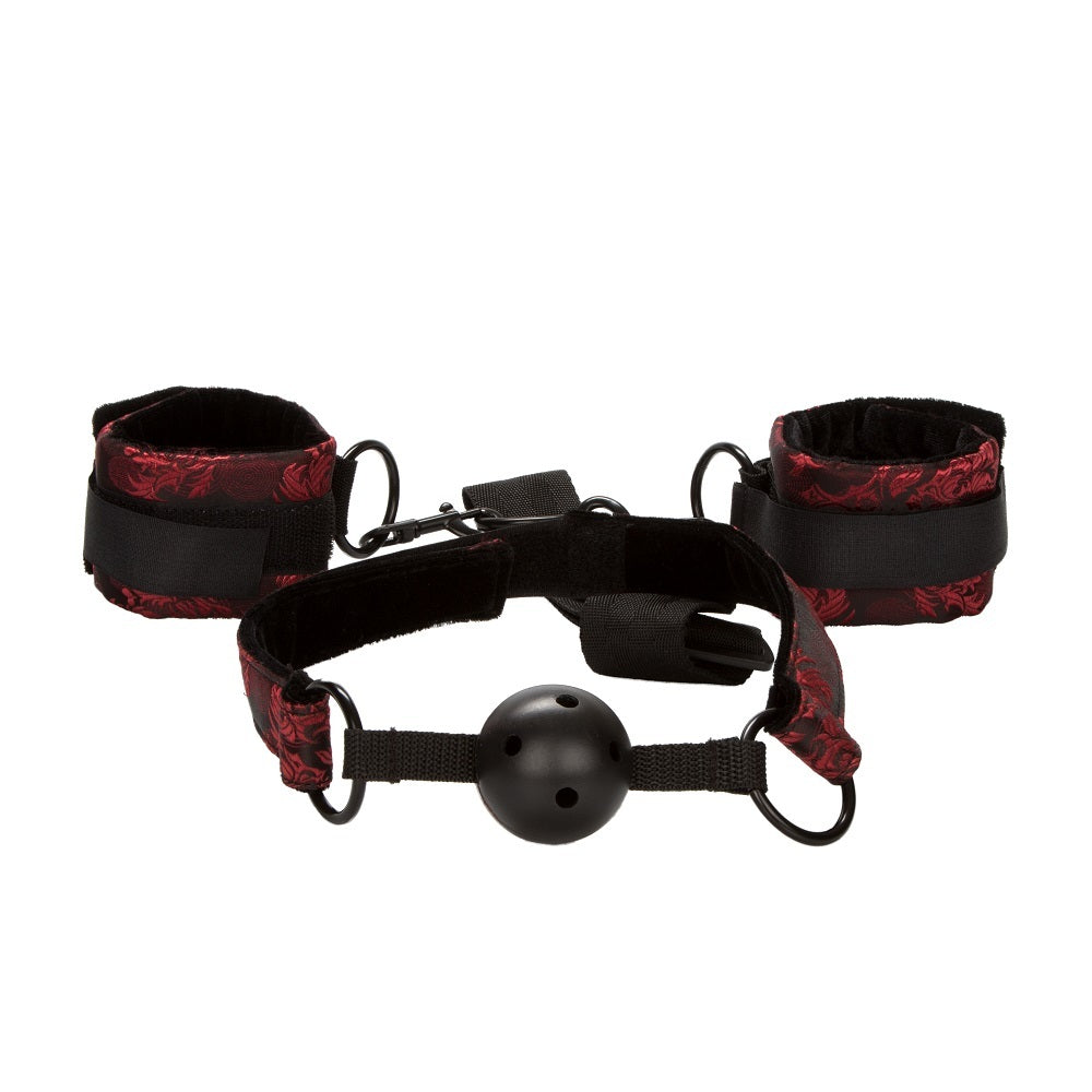 CalExotics Scandal Breathable Ball Gag with Collar and Soft Plush Cuffs