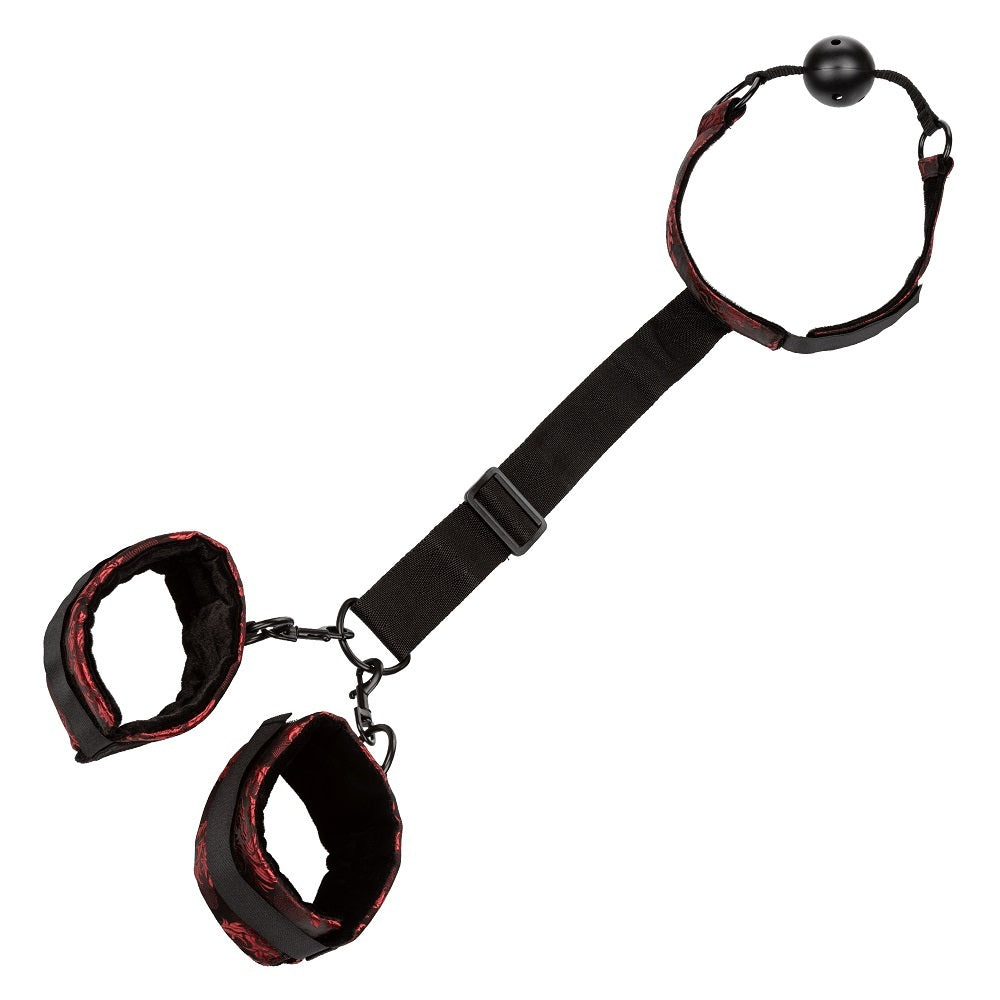 CalExotics Scandal Breathable Ball Gag with Collar and Soft Plush Cuffs