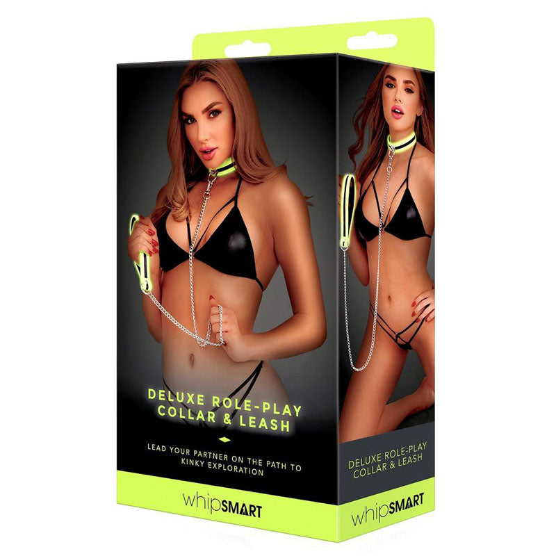 WhipSmart Glow Collar & Leash – Glow-in-the-Dark